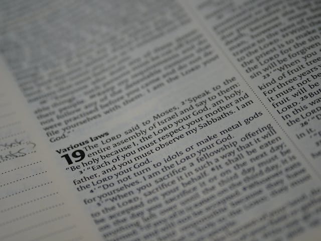 "믿음의 지침서" 레위기에 담긴 신앙과 삶의 원리 3 실제 사례 및 예시