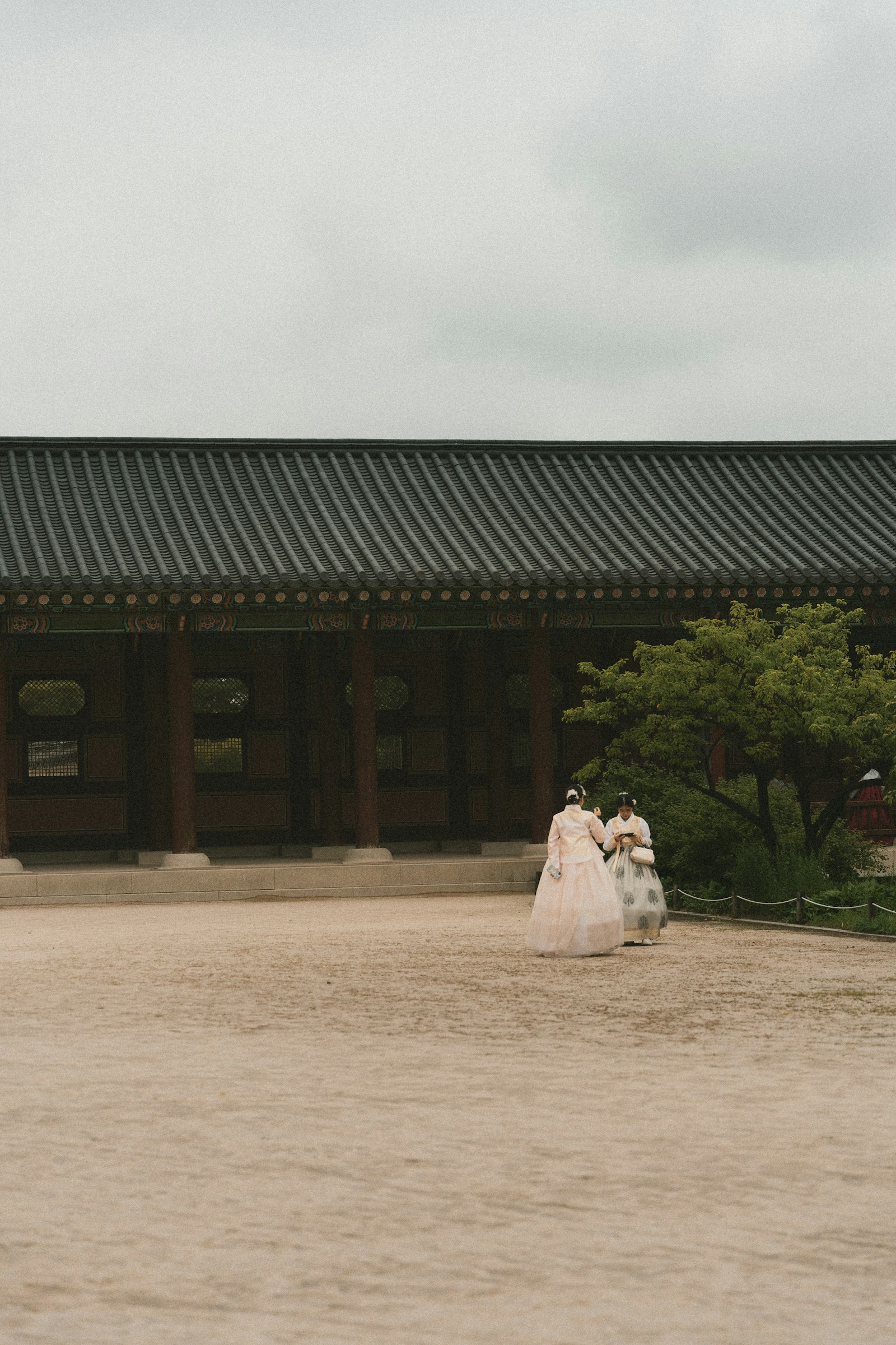 설날 가정예배, 차례 대신 가족과 드리는 예배 순서